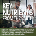Bronson Moringa Extra Strength Capsules Moringa Oleifera Powder, 120 Count