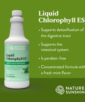 Nature'S Sunshine Liquid Chlorophyll Extra Strength - Immunity Support, Detox & Cleanse, Chlorophyll Liquid Drops With Spearmint