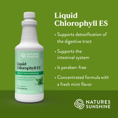 Nature'S Sunshine Liquid Chlorophyll Extra Strength - Immunity Support, Detox & Cleanse, Chlorophyll Liquid Drops With Spearmint