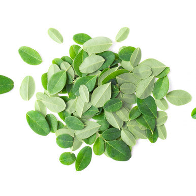 PURE ORIGINAL INGREDIENTS Moringa (8Oz) Moringa Oleifera Leaf Extract, Natural Herbal Supplement