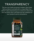 Gaia Herbs Astragalus Supreme - Immune and Antioxidant Support Herbal Supplement - With Astragalus Root, Schisandra Berry, and Ligustrum - 120 Vegan Liquid Phyto-Capsules (30-Day Supply)