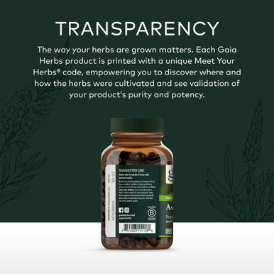 Gaia Herbs Astragalus Supreme - Immune and Antioxidant Support Herbal Supplement - With Astragalus Root, Schisandra Berry, and Ligustrum - 120 Vegan Liquid Phyto-Capsules (30-Day Supply)