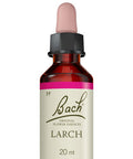 Larch ( Meleze )