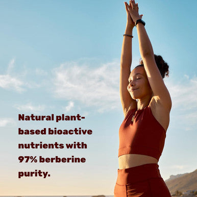 Deal Supplement Berberine Max Supplement with Turmeric 5000mg Per Serving 240 Veggie Capsules 97% Pure Berberine HCL 25:1 Berberine Root Extract Vegetarian Friendly Non-GMO