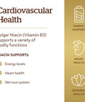 Solgar Niacin (Vitamin B3) 500 Mg 250 Vegetable Capsules - Cardiovascular Support - Energy Metabolism - Non-Gmo Vegan Gluten Free Dairy Free Kosher - 250 Servings