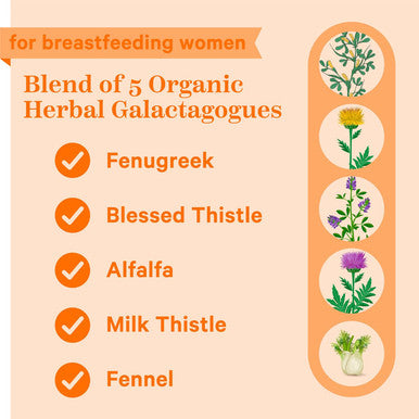 Pink Stork Total Lactation Supplement for Breast Milk Supply Organic Fenugreek and Alfalfa to Support Breastfeeding Milk Flow and Production Postpartum Essentials - 60 Capsules