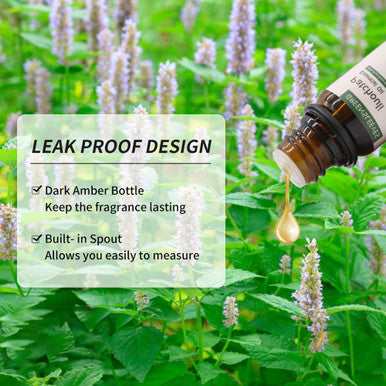 GREENSLEEVES Patchouli Essential Oil 10ml, 100% Pure Organic Patchouli Aromatherapy Diffuser Oils 10ml
