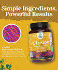 L Lysine 1000Mg Form - High Strength L-Lysine Supplement For Eye Health Lip Care Collagen Synthesis And Immune Support - Essential Amino Acid Vegan Non-Gmo 1000Mg Per Serving - 100 Tablets