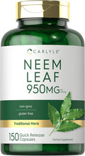 Carlyle Neem Leaf | 950mg | 150 Powder Capsules | Non-GMO and Gluten Formula | Value Size | Traditional Herbal Supplement | Azadirachta Indica