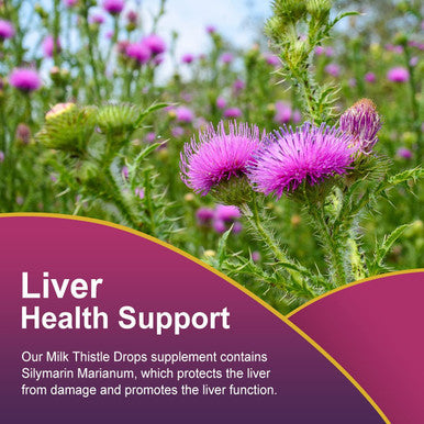 iMATCHME Milk Thistle Liquid Drops, Liver Support Supplement for Liver Cleanse Detox & Repair, Milk Thistle Extract Organic, Non-GMO, Alcohol-Free, Vegetarian & Gluten-Free (2 Fl.Oz)