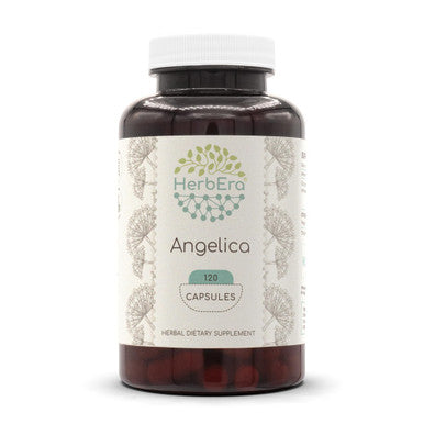 Angelica 120 Capsules, 500 Mg, Concentrated Liquid Drops Natural Angelica (Angelica Archangelica) Dried Root (120 Capsules)