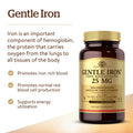 Solgar Gentle Iron - Ideal For Sensitive Stomachsred Blood Cell Supplement & Vitamin E 268 Mg (400 Iu) (D-Alpha Tocopherol & Mixed Tocopherols) 100 Softgels