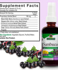 Nature'S Answer Alcohol- Sambucus Extract Spray 2-Ounces | Immune System Support | Vegan Gluten- No Artificial Flavors or Preservatives | Single Count