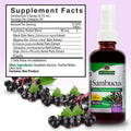 Nature'S Answer Alcohol- Sambucus Extract Spray 2-Ounces | Immune System Support | Vegan Gluten- No Artificial Flavors or Preservatives | Single Count
