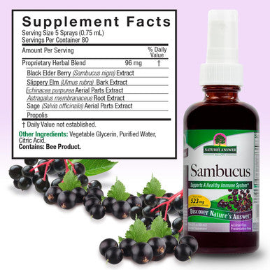 Nature'S Answer Alcohol- Sambucus Extract Spray 2-Ounces | Immune System Support | Vegan Gluten- No Artificial Flavors or Preservatives | Single Count