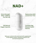 Nad+ Supplement 1,000Mg Per Serving, 120 Veggie Capsules ÃƒÂ¢Ã¢â€šÂ¬Ã¢â‚¬Å“ Extra Strength Nad Booster ÃƒÂ¢Ã¢â€šÂ¬Ã¢â‚¬Å“ Healthy Aging, Energy, & Brain Support ÃƒÂ¢Ã¢â€šÂ¬Ã¢â‚¬Å“ Similar To Nicotinamide Riboside ÃƒÂ¢Ã¢â€šÂ¬Ã¢â‚¬Å“ Non-Gmo