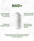 DEAL SUPPLEMENT NAD+ Supplement 1,000mg Per Serving 120 Veggie Capsules