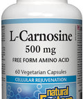 Natural Factors LCarnosine 500 mg Supports Healthy Aging Muscle and Brain Function Dietary Supplement 60 capsules 60 servings