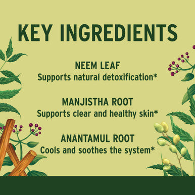 Banyan Botanicals Healthy Skin Organic Skin Supplement For Radiant And Healthy Looking Skin 90 Tablets Non-Gmo Sustainably Sourced Vegan