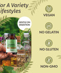 HERBAMAMA Sea Moss and Bladderwrack Capsules 1600mg Irish Sea Moss for Immune Support Vegan NonGMO Immunity Supplement for Overall Support