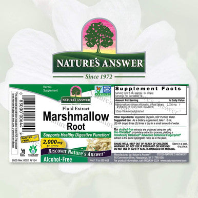 Nature'S Answer Alcohol- Marshmallow Root Extract 1-Fluid Ounce | Digestive Support