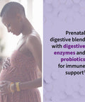 Garden of Life Vitamin Code Raw Prenatal 90 Vegetarian Capsules