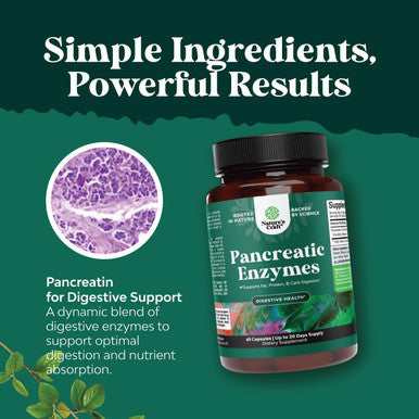 Natures Craft Pancreatin Digestive Enzymes for Digestive Health - Pancreatic Enzymes for Humans with Fat Carb and Protein Digestive Enzymes for Women and Men - Protease Amylase & Lipase Enzymes for Digestion - 60ct