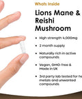 Lions Mane & Reishi Mushroom Capsules - High Strength 4000Mg Lions Mane Supplement With Reishi - 120 Vegan Lions Mane Mushroom Powder + Reishi Mushroom Capsules - Made In Uk By Leaf