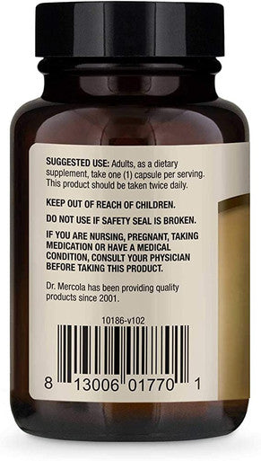 Dr. Mercola Fermented Ginger Beer, 0.5 Ounce