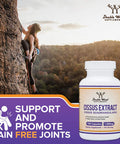 Quercetin with Bromelain - 120 Count (1,200mg Servings) Immune Health Capsules - Supports Healthy Immune Functions in Men and Women (Vegan Safe, Manufactured in USA) by Double Wood Supplements