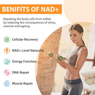 Liposomal Nad+ Supplement 500 Mg, High Absorption, Boost Nad+ With Tmg 250 Mg, Actual Nad Plus More Efficient Than Nicotinamide Riboside, Support Cellular Energy, Healthy Aging 60 Softgels