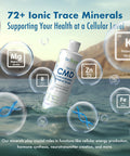 BioTrace Dead Sea Trace Mineral Drops | 72+ Concentrated Trace Minerals, Ionic Liquid Magnesium, Chloride, Potassium | Low Sodium | Energy, Electrolytes, Hydration | 96 Day Supply, 8.12 Fl Oz
