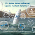BioTrace Dead Sea Trace Mineral Drops | 72+ Concentrated Trace Minerals, Ionic Liquid Magnesium, Chloride, Potassium | Low Sodium | Energy, Electrolytes, Hydration | 96 Day Supply, 8.12 Fl Oz