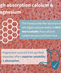 Calcium & Magnesium 2:1, Plant Based Algae Mineral Complex, Bone & Teeth Support, High Absorption Formula with Cofactors Boron, Vitamin D3 & K2, Vegan, 60 Tablets, by Igennus