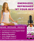 Alliwise Liver Health Support Liquid, 1000Mg Milk Thistle 80% Silymarin Extract & 250Mg Dandelion Root Extract, Liver Cleanse Detox & Repair Fatty Liver Formula, Vegan, Non-Gmo And All-Natural