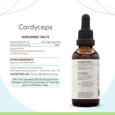 Cordyceps B60 Alcohol-Free Herbal Extract Tincture, Concentrated Liquid Drops Natural Cordyceps (Cordyceps Sinensis) Dried Mushro