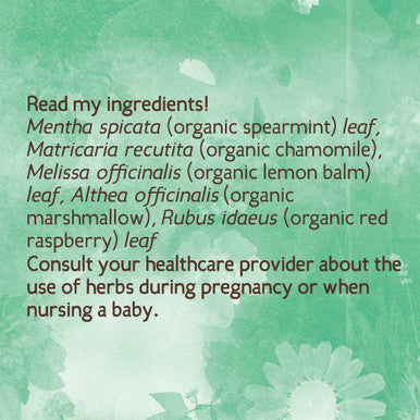 Organic Heartburn Tea for Occasional Pregnancy Heartburn, 16 Teabags/Box (Pack of 3)