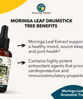 Amazing Herbs Moringa Leaf Extract - Premium Moringa Oleifera, Gluten-Free, Improves Mood, Supports Sleep, & Promotes Joint Health - 1 Fl Oz