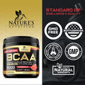Nature'S Nutrition BCAA Powder 4g BCAAs 2:1:1 1g Glutamine B6 - Pre Workout Drink Energy Boost & Post Workout Muscle Recovery Amino Acids Supplement for Men & Women - Keto Sugar Watermelon Flavor - 45 Servings