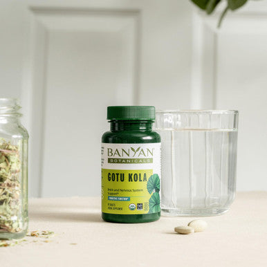 Banyan Botanicals Gotu Kola (Centella Asiatica) Organic Adaptogen & Nootropic Brain Support Supplement For Healthy Memory & Concentration* 90 Tablets Fairly Traded Sustainably Sourced Vegan