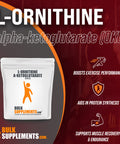 BulkSupplements L-Ornithine Alpha-Ketoglutarate Powder (OKG Powder) - Amino , Nitric Oxide Supplement - - 2000mg , 125 Servings (250 Grams - 8.8 oz)