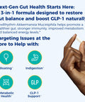 NewRhythm Akkermansia Muciniphila Probiotic 10 Billion TFU Pasteurized Maximum Stability Green Tea Leaf EGCG GLP-1 Production Metabolic Health Gut Immunity for Women & Men 60 Caps