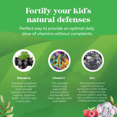 Kids Elderberry Gummies With Zinc And Vitamin C - Delicious Sambucus Black Elderberry Gummies For Kids Immune Support - Daily Kids Immunity Support Gummies Vegan Non-Gmo Gluten And Gelatin Free