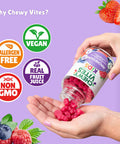 Chewy Vites Kids Magnesium 2 Months Supply 60 Kids Vitamins Gummies 500mg Magnesium Citrate Providing 56mg per Gummy Real Fruit Juice Age 3 + Berries Flavour