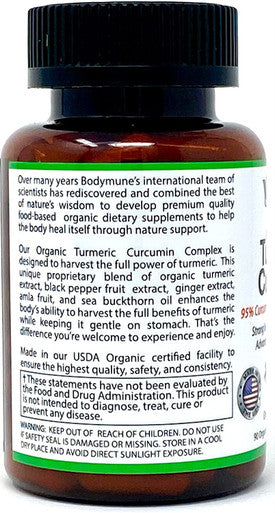 USDA Organic Turmeric Curcumin for Sensitive Stomach 45-Day Supply Organic Turmeric Supplement with Black Pepper Sea Buckthorn Oil Ginger and Amla