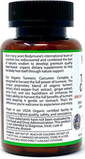 USDA Organic Turmeric Curcumin for Sensitive Stomach 45Day Supply Organic Turmeric Supplement with Black Pepper Sea Buckthorn Oil Ginger and Amla