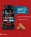 Healthfare L-Glutamine 1000Mg | 240 Capsules | Amino Acid Fuel For Gut & Muscle Health | Non-Gmo | Gluten-Free | Support For Recovery & Wellness | Made In The Usa