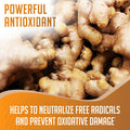 Xprs Nutra Ginger Powder - Premium Ground Ginger Root Powder with Potent Spicy Flavor - Ground Ginger Powder - Vegan Friendly Sustainably Grown Powdered Ginger (8 Ounce)