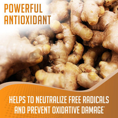 Xprs Nutra Ginger Powder - Premium Ground Ginger Root Powder with Potent Spicy Flavor - Ground Ginger Powder - Vegan Friendly Sustainably Grown Powdered Ginger (8 Ounce)