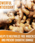 Xprs Nutra Ginger Powder - Premium Ground Ginger Root Powder with Potent Spicy Flavor - Ground Ginger Powder - Vegan Friendly Sustainably Grown Powdered Ginger (4 Ounce)